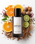 Meteore dupe