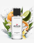 My Way Perfume Inspired