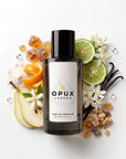 paradoxe dupe