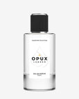 Acqua Di Gio Profumo Inspired | 4