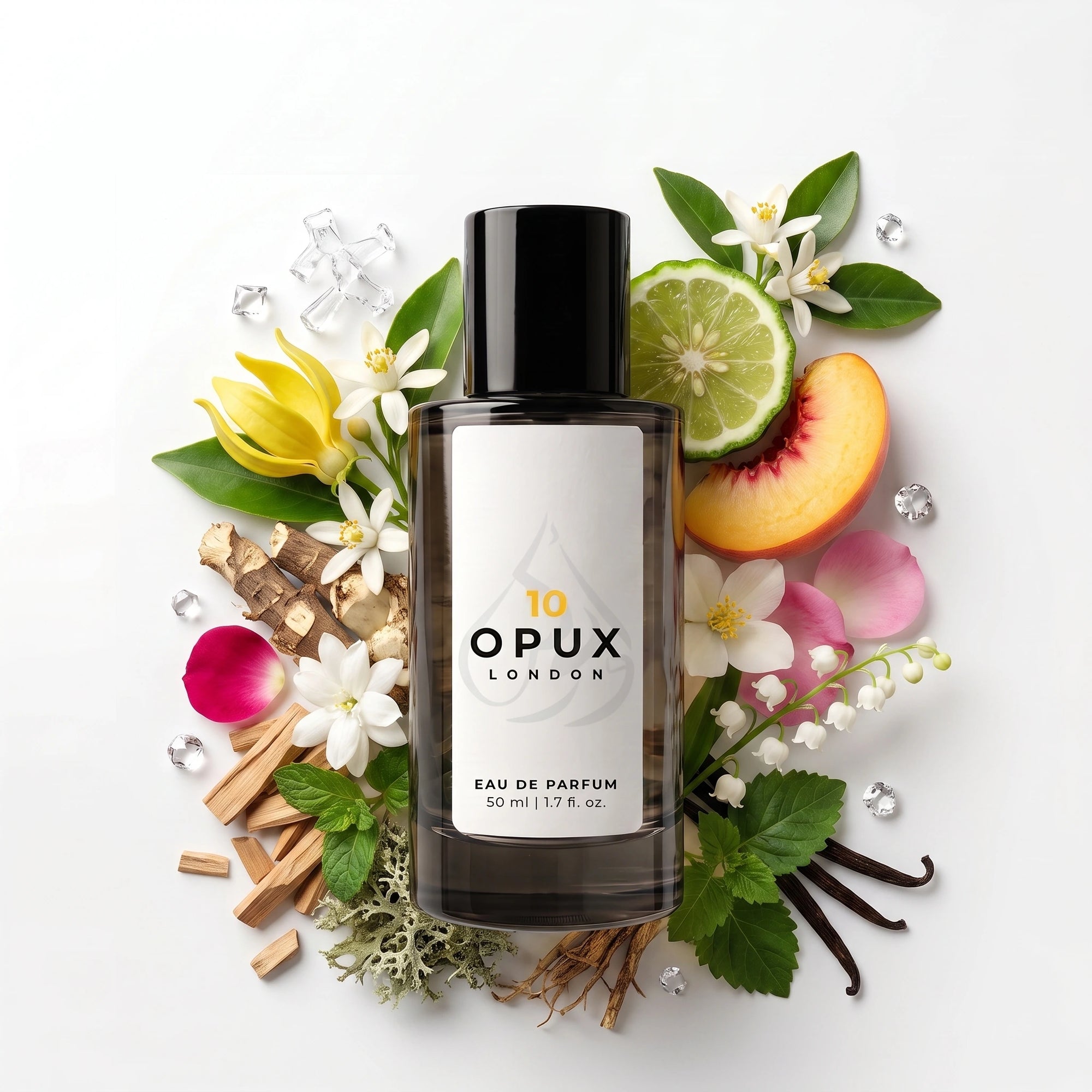 OPUX 10
