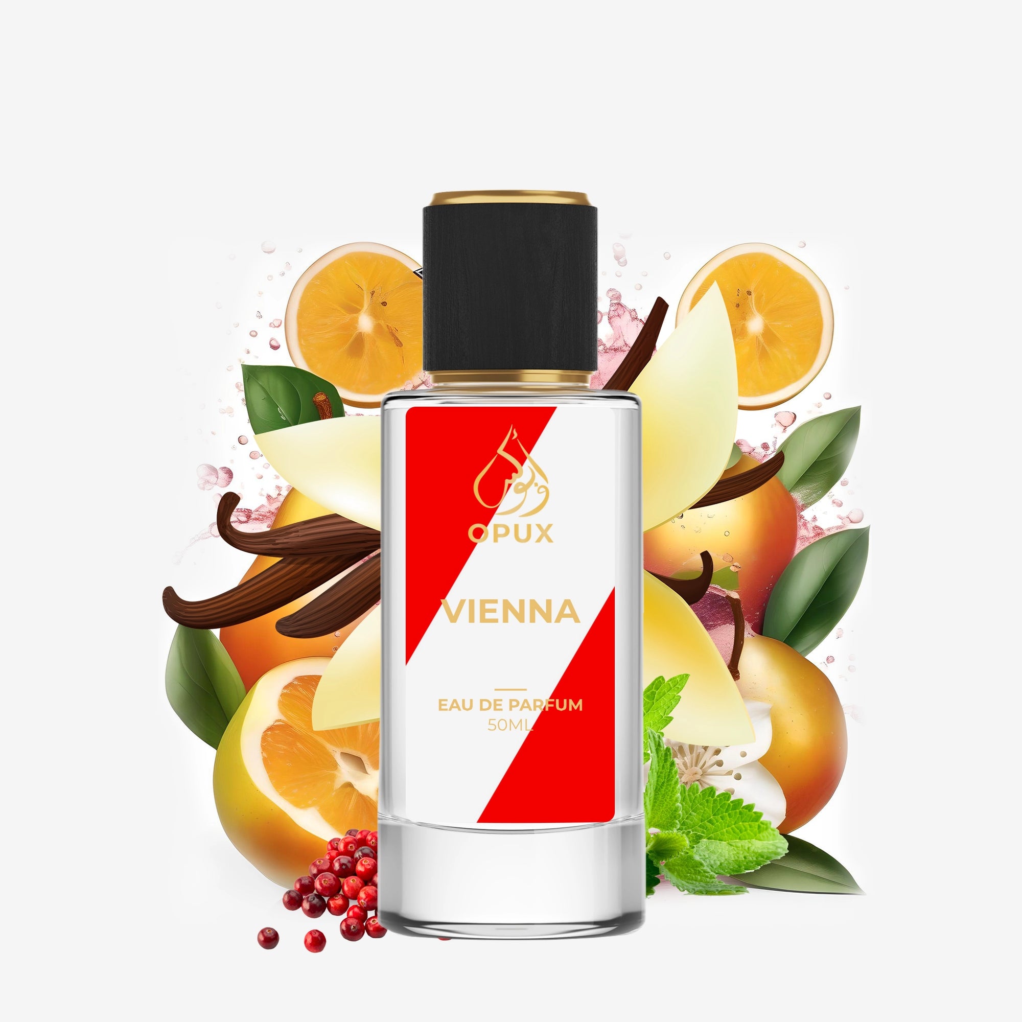 Black Opium Inspired