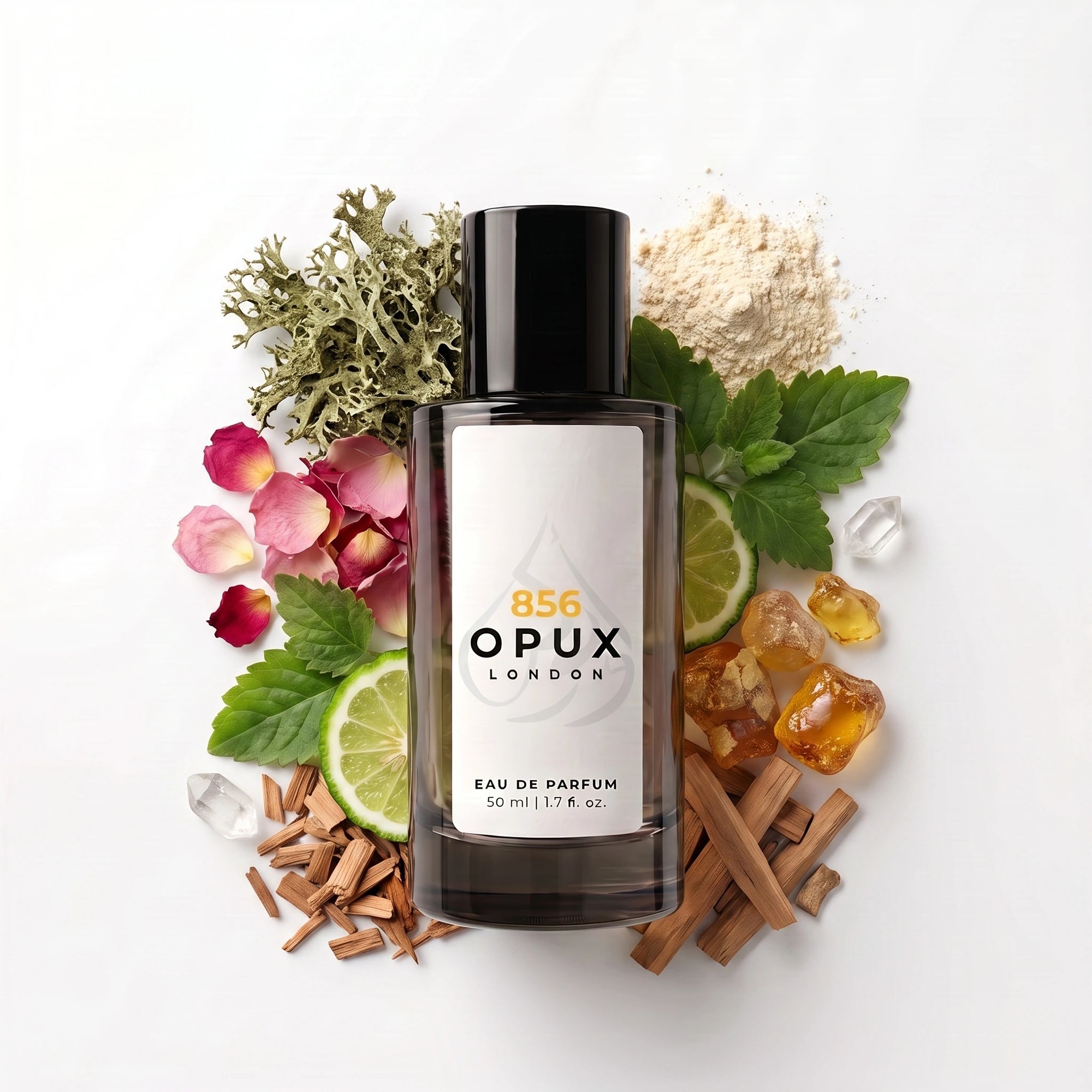 Gris D dupe