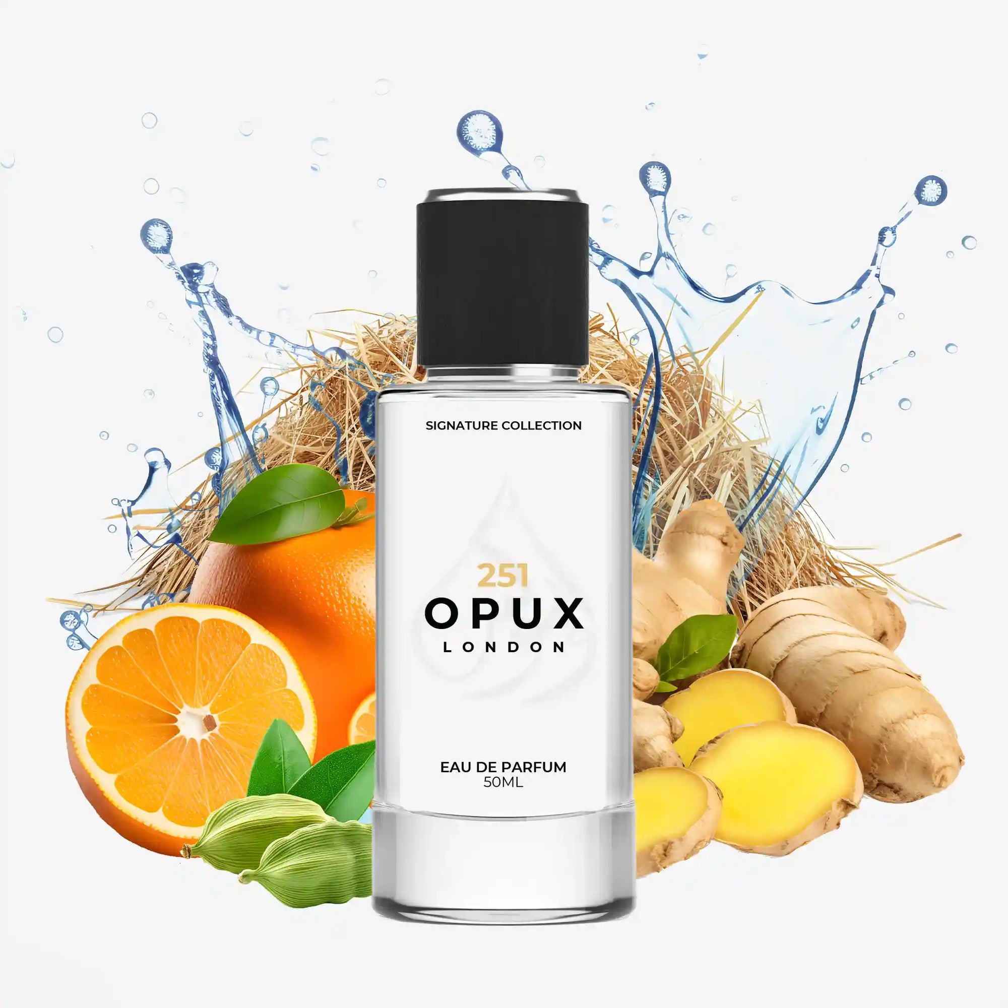 Inspired by Reflection Man