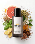The One For Men dupe