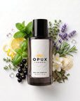 Torino21 dupe
